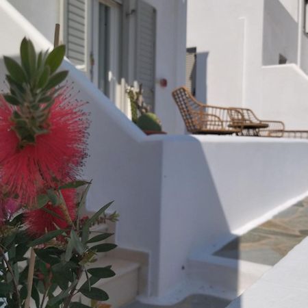Gaia Serifos Apartments Rámos 部屋 写真