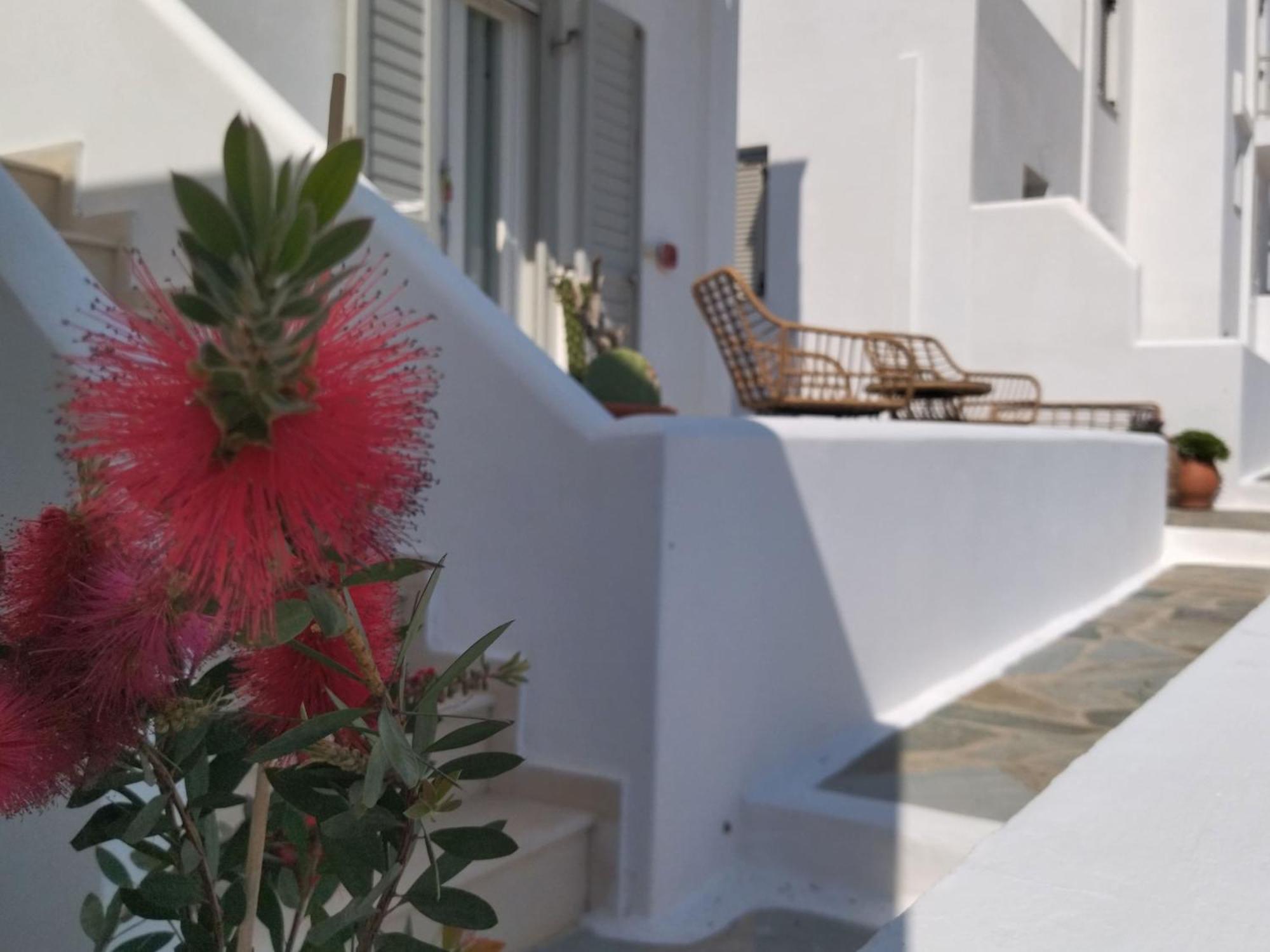 Gaia Serifos Apartments Rámos 部屋 写真